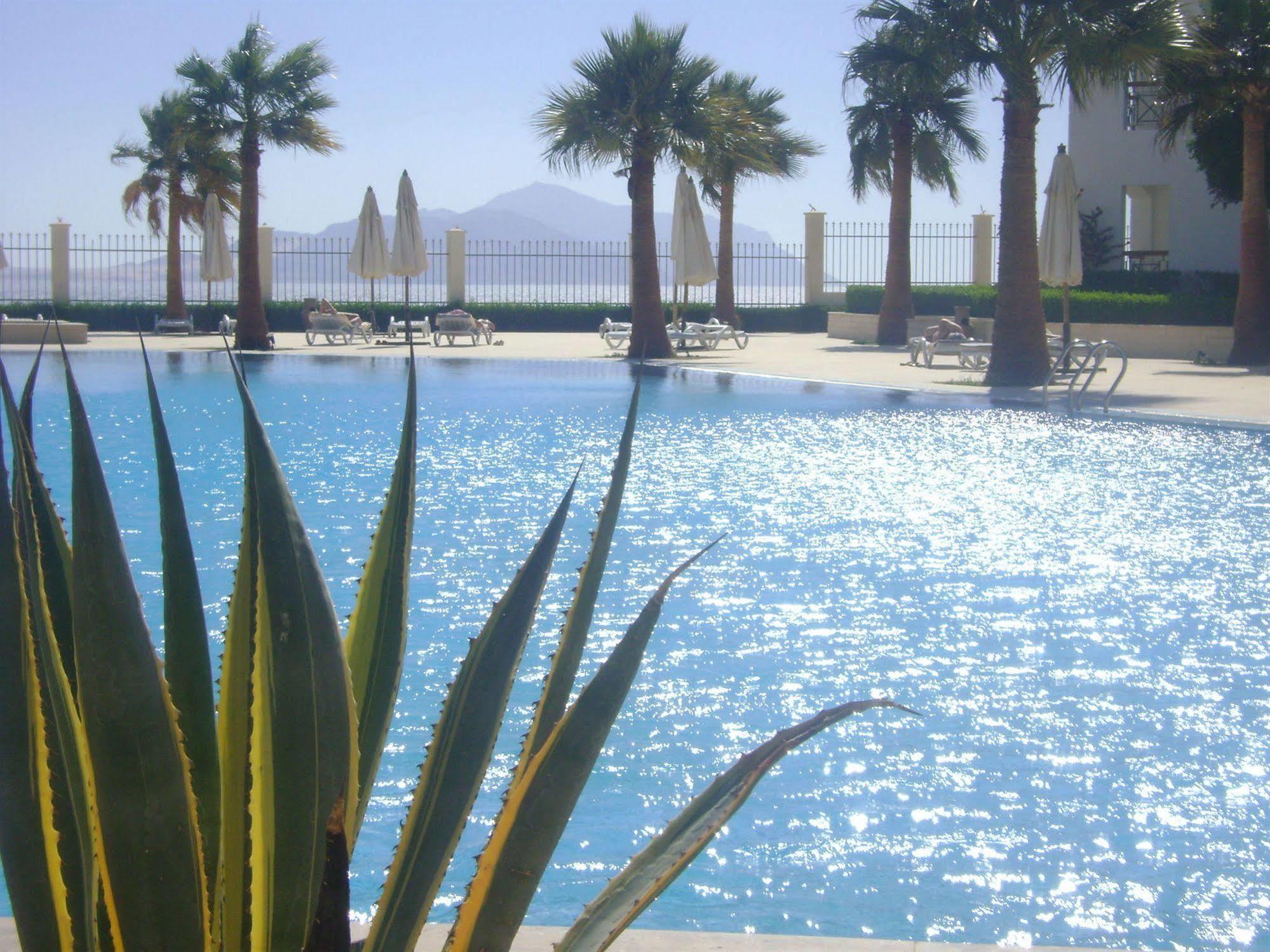 Ivy Cyrene Island Aqua Park (adults Only) Complex
