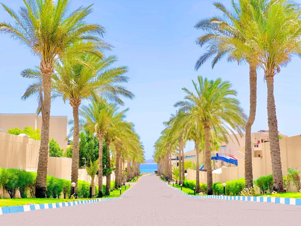 Ivy Cyrene Island Aqua Park (adults Only) Resort Sharm-el-Sheikh