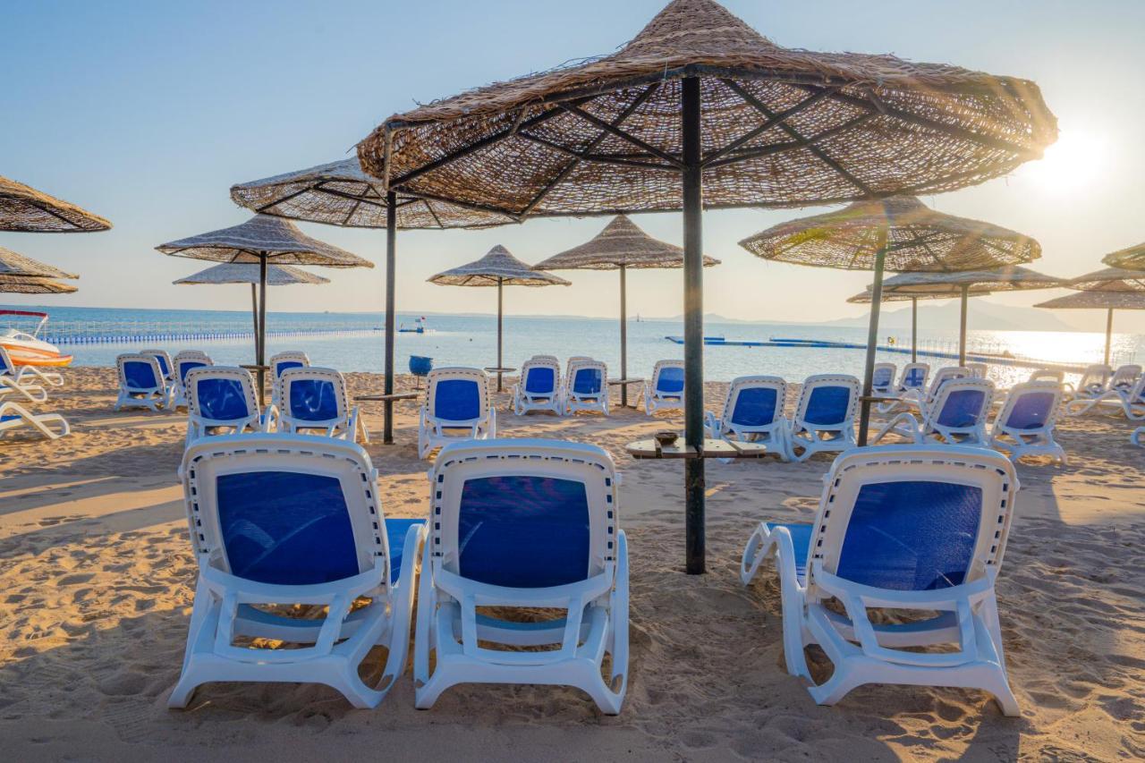 Ivy Cyrene Island Aqua Park (adults Only) Resort Sharm-el-Sheikh